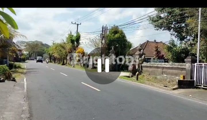 Rumah , ruko ,dan Tanah lahan kosong. , pinggir jalan utama Denpasar Singaraja ,Denkayu Mengwi Kabupaten Badung Bali