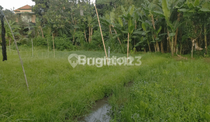 Tanah dengan Lokasi Nyaman, Udara Adem, Cocok Untuk Villa