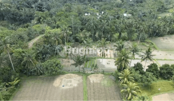 Mainroad Bypass Bandara Internasional, Cocok Untuk Usaha