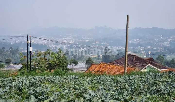 kavling matang siap bangun cocok untuk cafe Lembang Asri