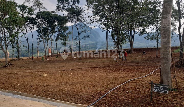 Dijual Tanah Untuk Villa Berkebun Lokasi Di Bogor