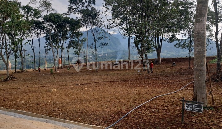 Dijual Tanah Untuk Villa Berkebun Lokasi Di Bogor