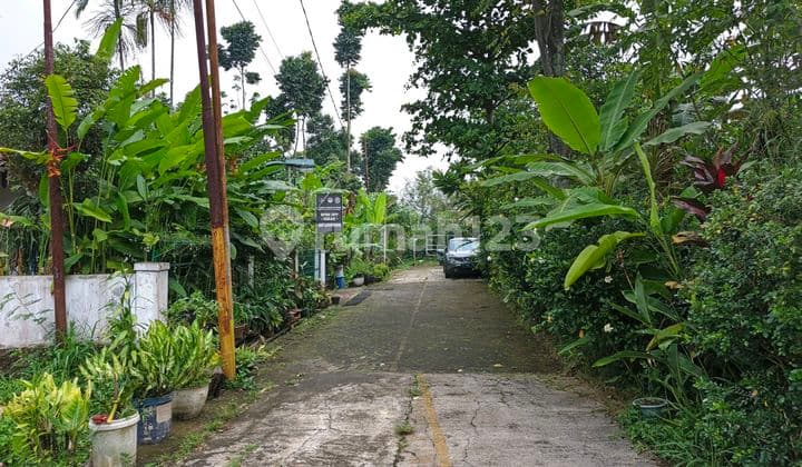 Tanah Area Asri Sejuk Cigadung Dago Bandung