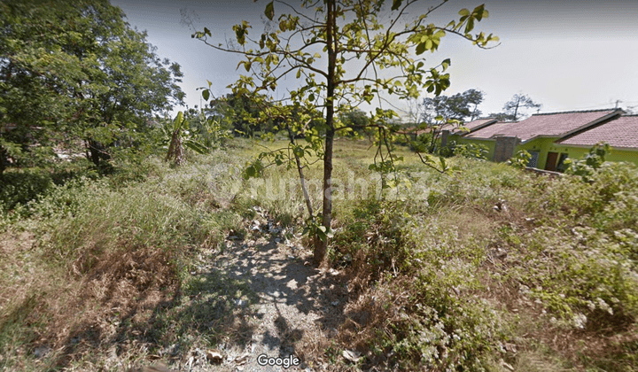 Tanah Luas 4.300 m² Untuk Perumahan Di Pucangan Solo