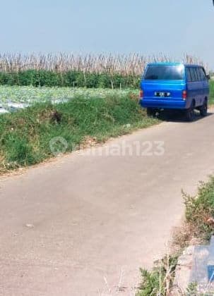 Dijual Tanah Perkebunan Sayuran Di Sariwangi Parongpong, Cisarua Kab. Bandung Barat