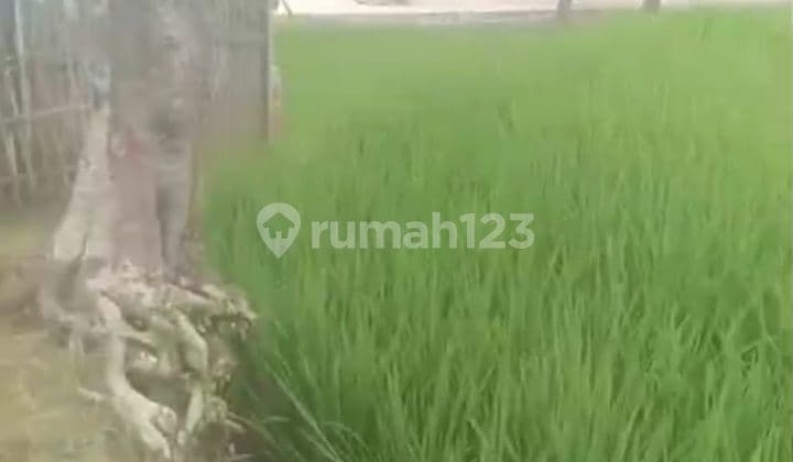 Dijual Cepat Dan Murah Tanah Ciparay Cocok Untuk Perumahan, Gudang Atau Pabrik