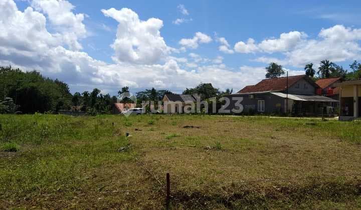 Kavling Murah Tajurhalang Cicil 12X Tanpa Bunga