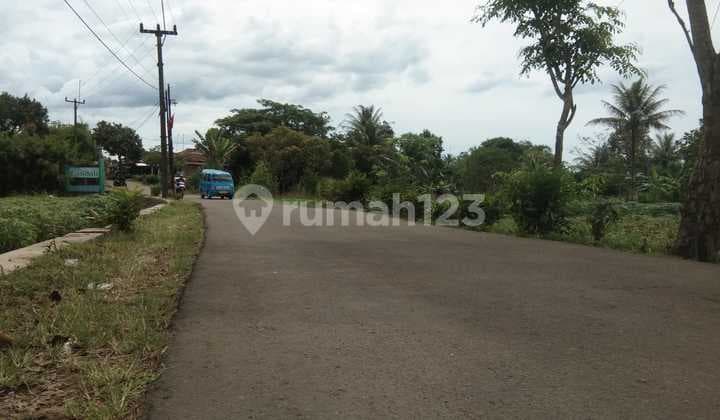 Kavling Murah 1 Menit Wisata Alam Candali Free SHM