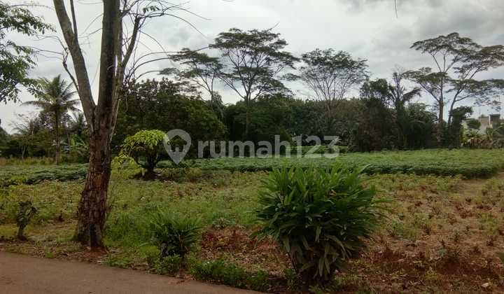 Tanah, SHM, Dekat Sekolah Negeri, di Kemang