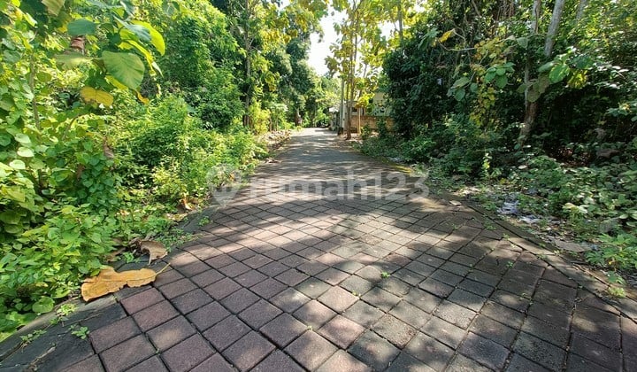 Land For Long Term Lease At Taman Mumbul, Benoa
