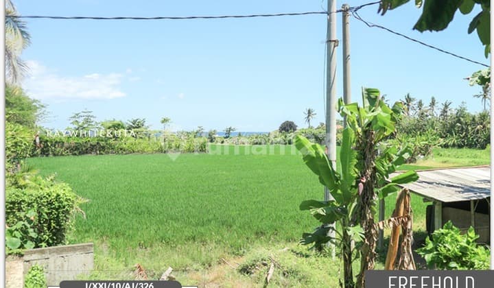 Land For Sale In Pantai Lebih, Gianyar