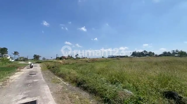 Dijual Tanah Premium View Laut - Kedungu, Bali