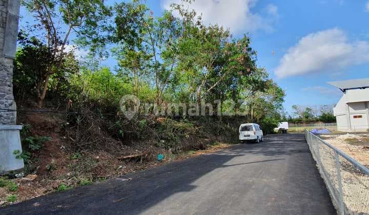 Tanah Murah 5 Are di Ungasan Hanya 5 Menit ke Pantai Melasti