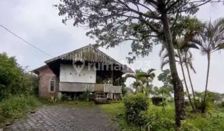 Tanah Dijual di Lembang Murah Nego!650 Rb/M Nego