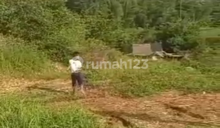 Jual Lahan.padat.sdh.cut.perataan.di.majalaya