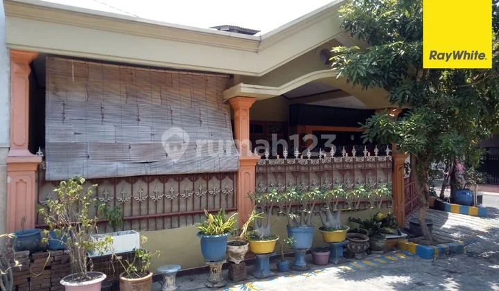 Rumah Dijual Griya Babatan, Wiyung, Surabaya Rumah Dijual Griya Babatan, Wiyung, Surabaya