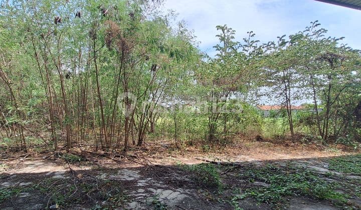 Turun Harga Gudang di Karawang Barat 7268 M