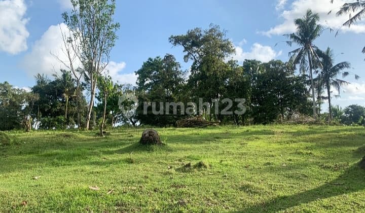 Buc Dijual Tanah 1,12ha Loss Sungai @selemadeg, Tabanan