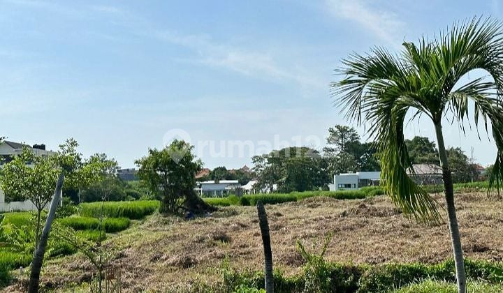 Land for sale 13.9 ares with rice field view @Berawa, Canggu, Bali