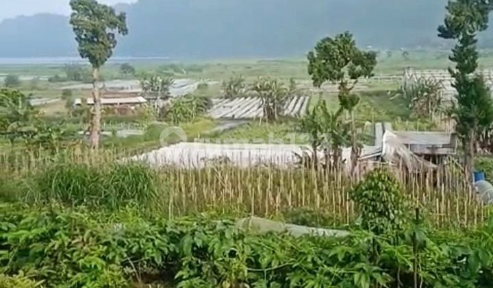 Dijual tanah 2ha full view danau buyan @bedugul, Bali
