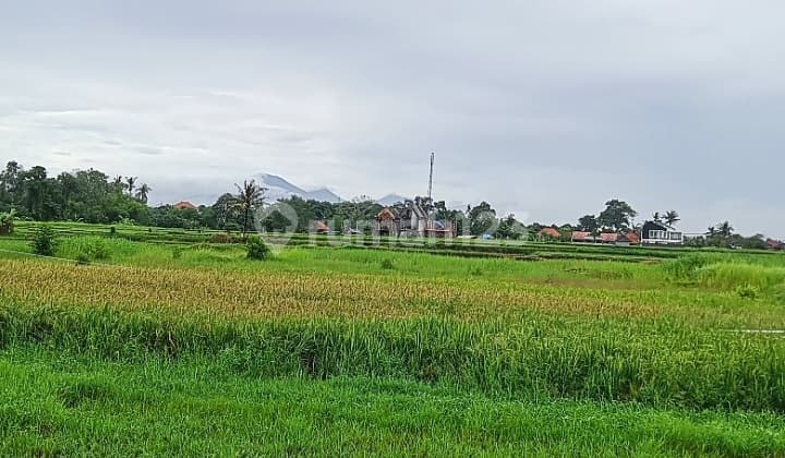 Dijual Tanah Kavling, Dekat Ke Pantai @kedungu, Tabanan, Bali