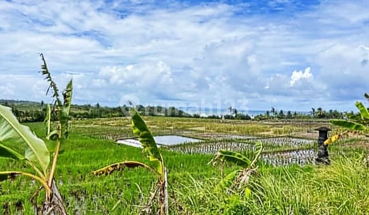 Dijual Tanah 21.75are View Laut @tibubiyu, Tabanan