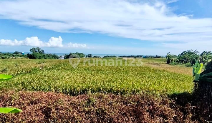 Beachfront Land For Sale @tibubiu Tabanan Bali