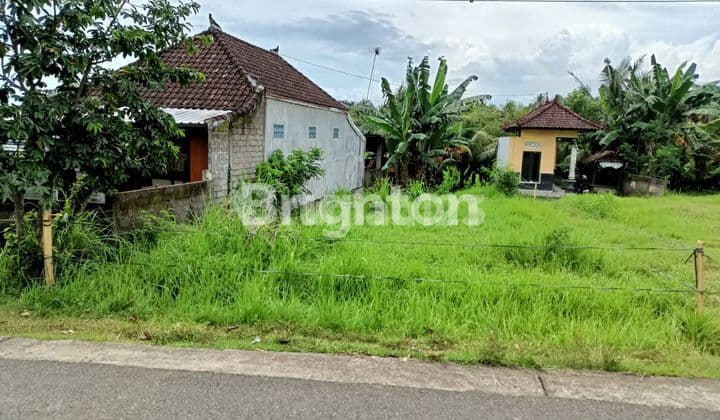 Dijual Tanah Kavling Strategis di Kaliakah, Negara – Jembrana | Luas 215 m²