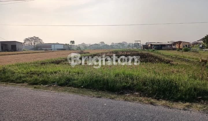Disewakan Lahan Strategis Dekat Pantai Pererenansewa Tanahjl Raya Pererenan Badung Bali - Badung