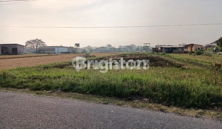 Disewakan Lahan Strategis Dekat Pantai Pererenansewa Tanahjl Raya Pererenan Badung Bali - Badung