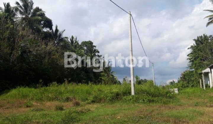 TANAH KAVLING JL.WISNU MARGA TABANAN