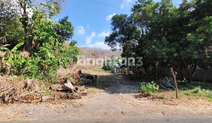 WIDE LAND IN TEMUKUS VILLAGE BULELENG