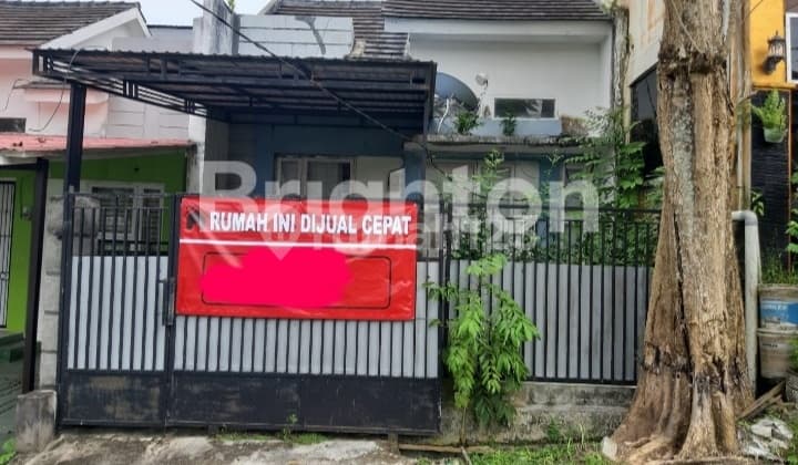 Rumah minimalis di borneo paradiso oak wood.