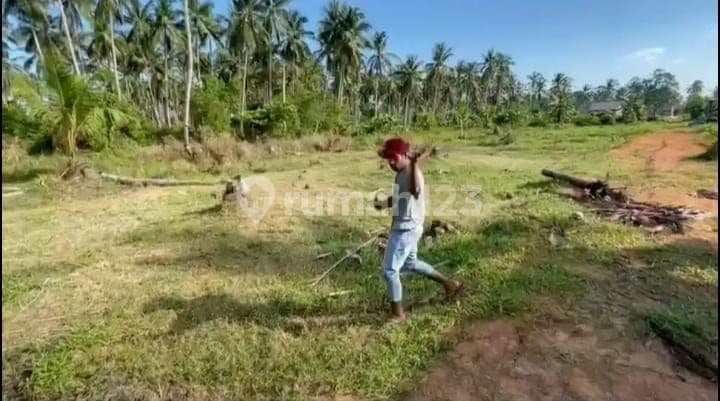 Tanah lokasi strategies recommend banget untuk perumahan