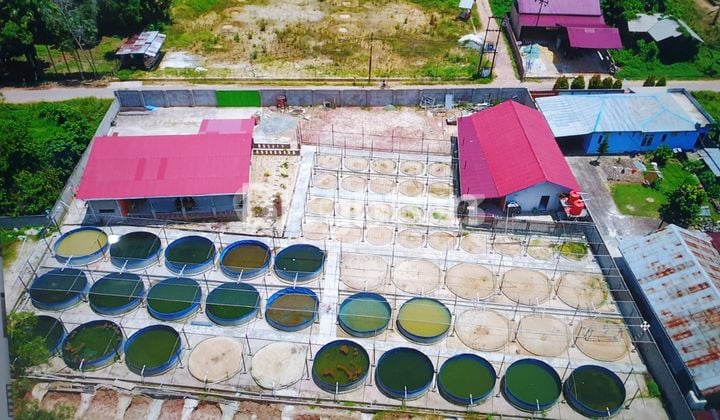 Tanah dengan seluas 3101 m² di dekat Toll Batakan