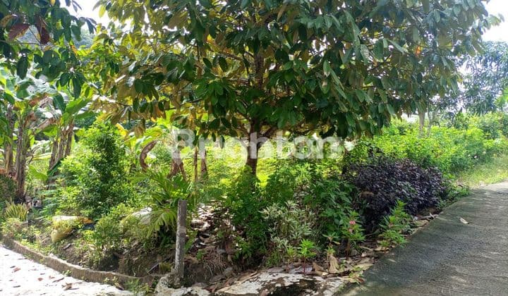 Vacant Land Plot on Jl. Soekarno Hatta Balikpapan.