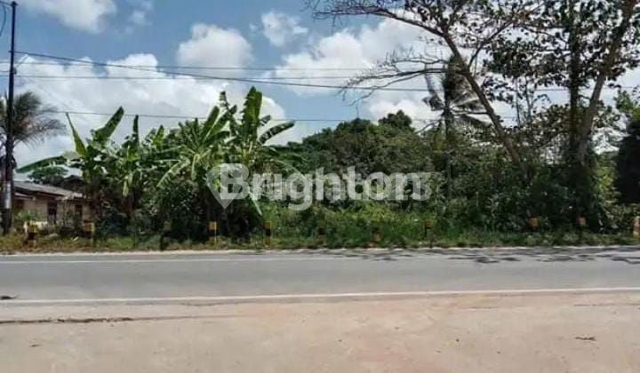 Tanah Seluas 3975 m² dipinggir jalan raya