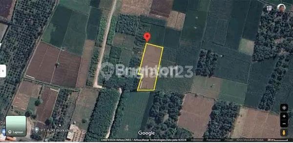 For Sale Rice Field Land in the Center of Kediri City, East Java