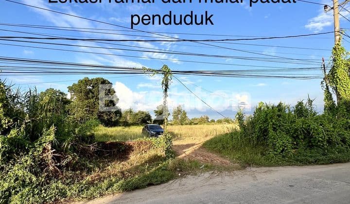 TANAH PREMIUM SUDAH TIMBUN SIAP BANGUN LOKASI STRATEGIS DI PINGGIR JALAN YANG RAMAI DI DAERAH JAKABARING