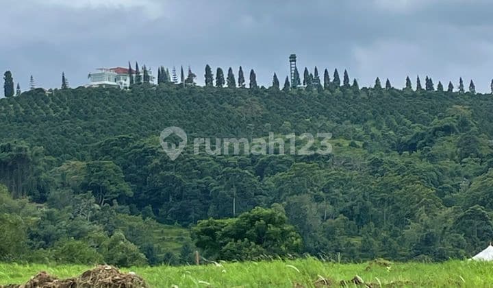 Satu Satunya Kavling Mewah di Cisarua Puncak Bogor