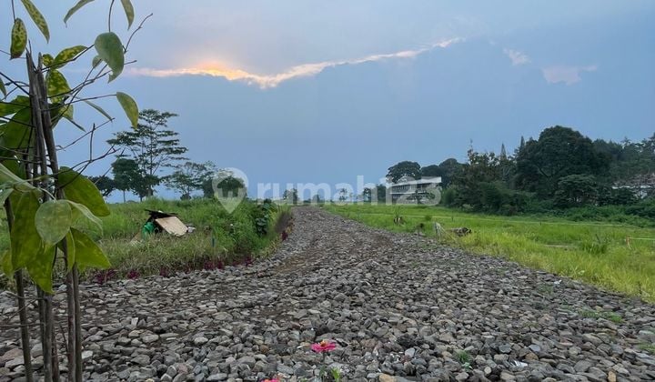 Tanah Kavling Termewah di Wisata Puncak Bogor