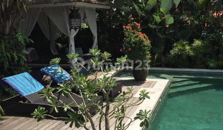 Villa 3 Kamar di Umalas