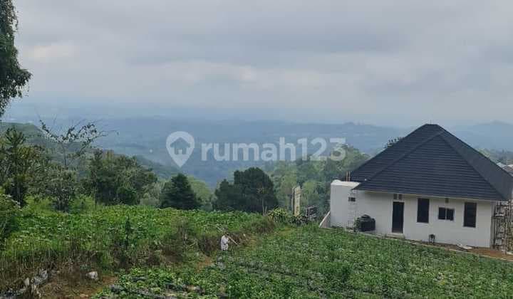 Dijual Tanah di Bedugul