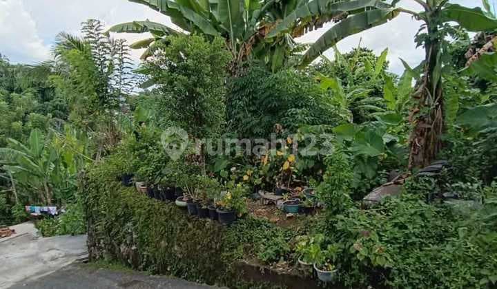Jual Tanah 3 Are Hanya 470Juta Saja Nego