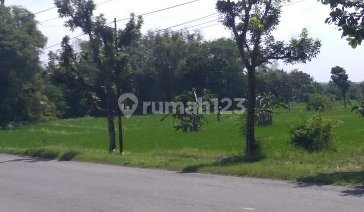 Tanah pinggir Jl.raya solo sragen