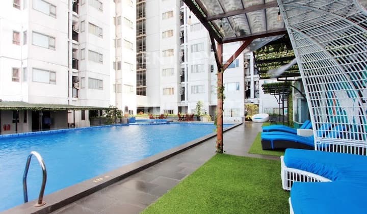 Apartemen Mewah Aston Pluit Full Furnished Pejaringan Jakarta Uta