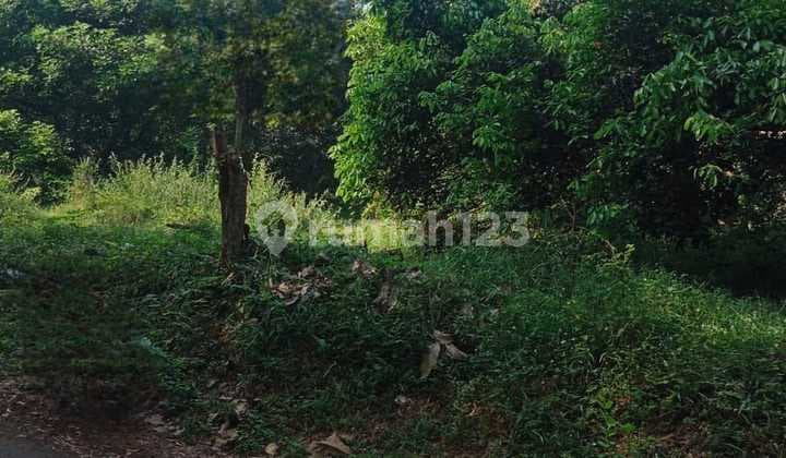 Dijual Tanah Murah Dan Luas Lokasi Strategis Di Kp. Karang Mulya, Purwakarta