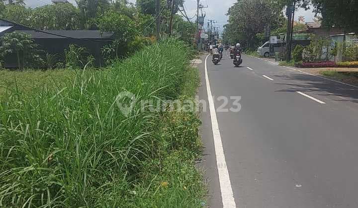 Sewa Tanah Jangka Panjang Jalan Induk Utama Sedap Malam Sanur Denpasar Selatan Bali Indonesia