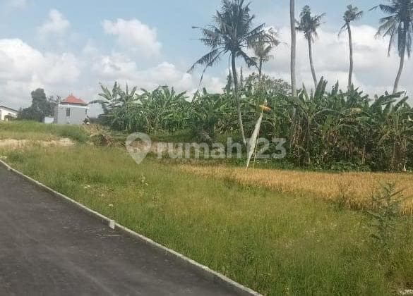 Jual Tanah Jln Antasura Peguyangan Denpasar Utara Bali Indonesia
