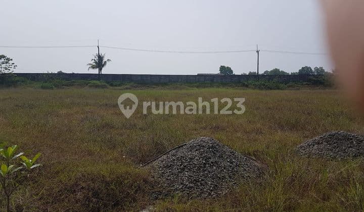 Land for Sale in Jawilan Serang - Banten